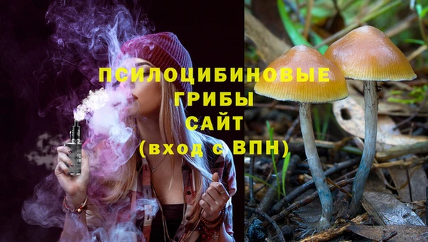 твердый Армянск