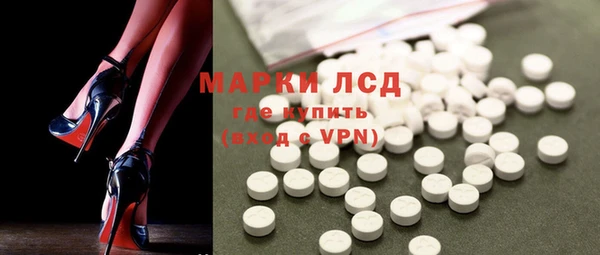 стаф Аркадак