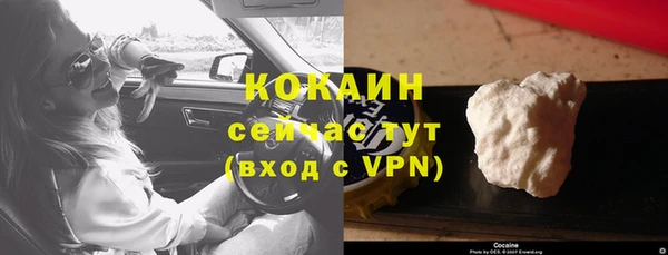 стаф Аркадак
