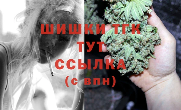 твердый Армянск