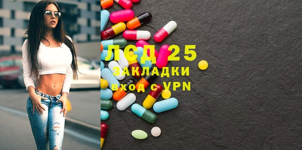 стаф Аркадак
