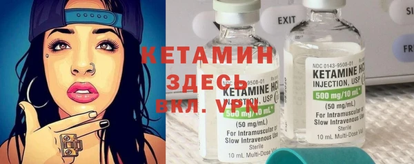 стаф Аркадак