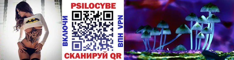 закладки  Светлоград  Псилоцибиновые грибы Psilocybe 