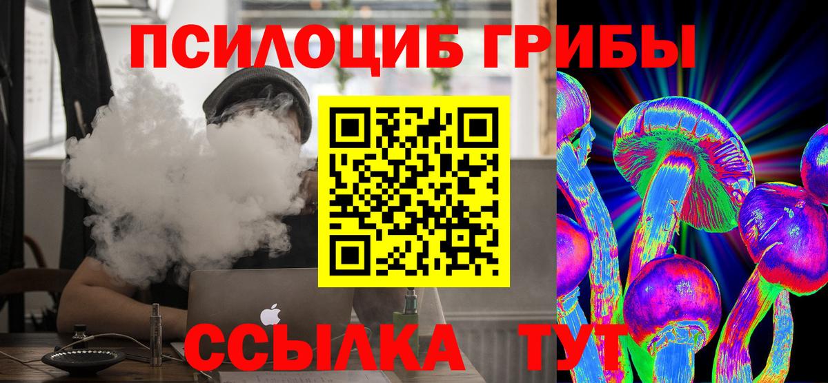 Галлюциногенные грибы Cubensis Светлоград