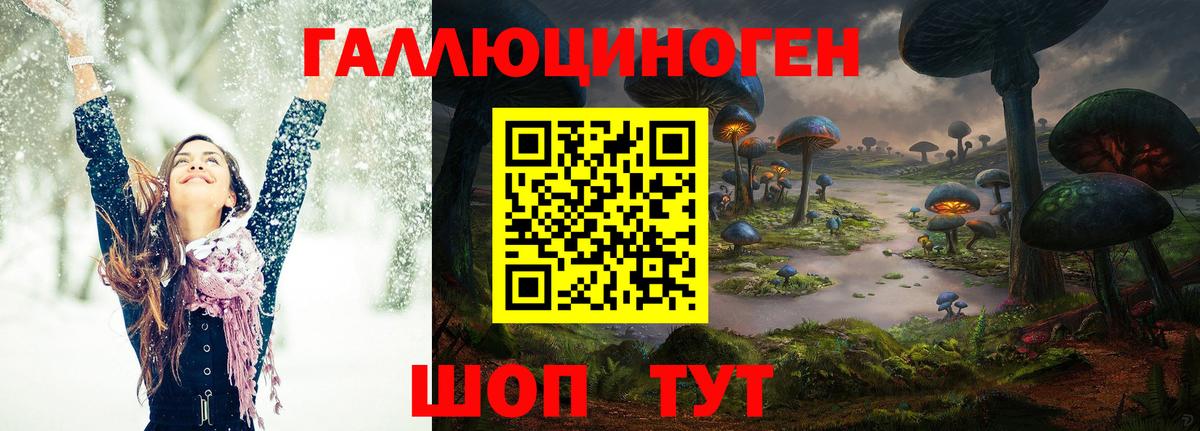 Светлоград  как найти наркотики  Псилоцибиновые грибы Psilocybe  Вход с VPN  Псилоцибиновые грибы ЛСД 